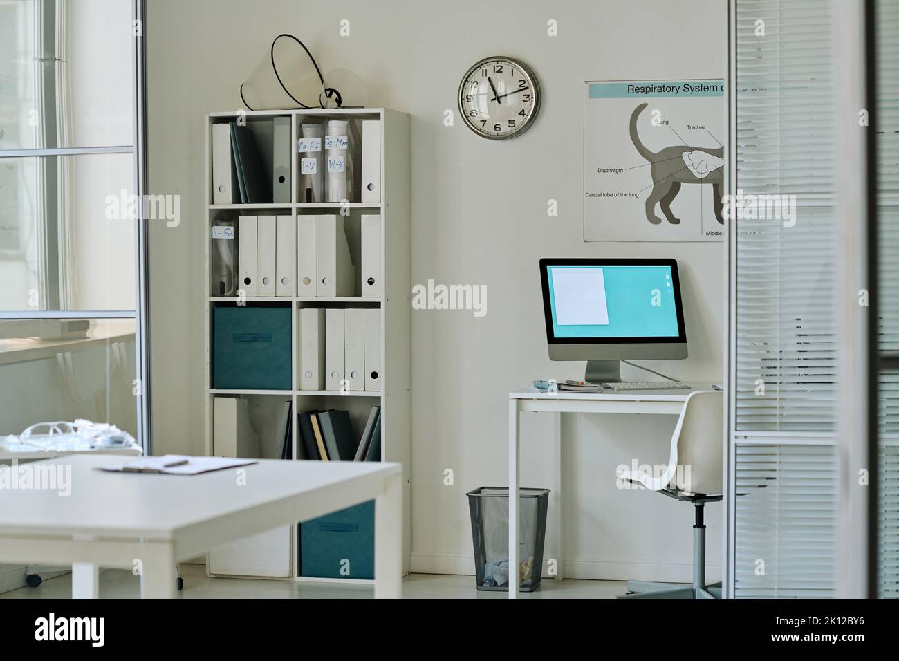 Horizontal image of modern empty vet office Stock Photo