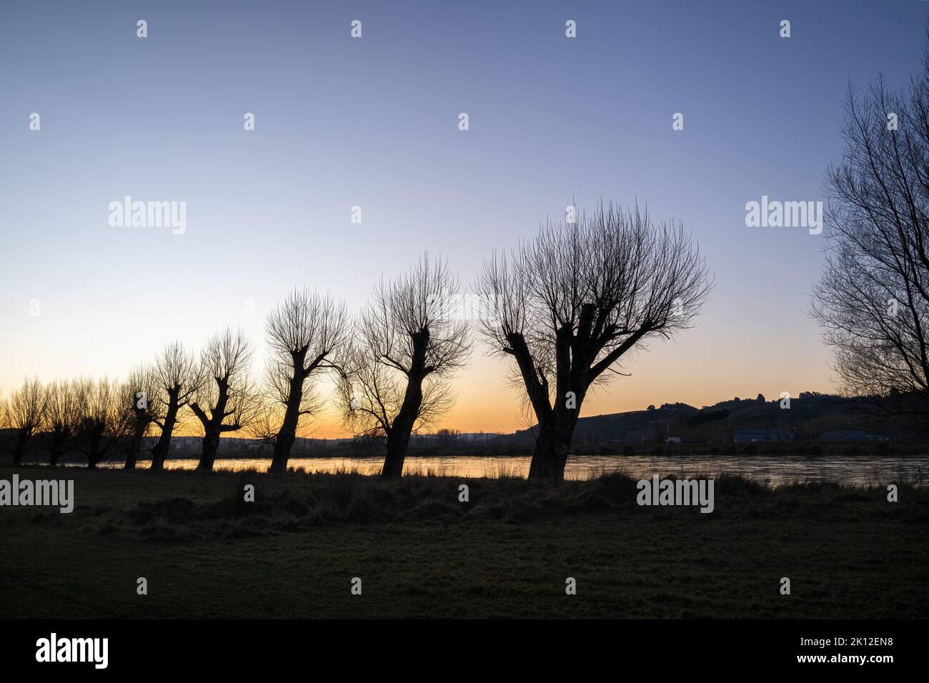 Silhouette trees along the Clutha river at dusk in winter, Balclutha, South Otago. Stock Photo