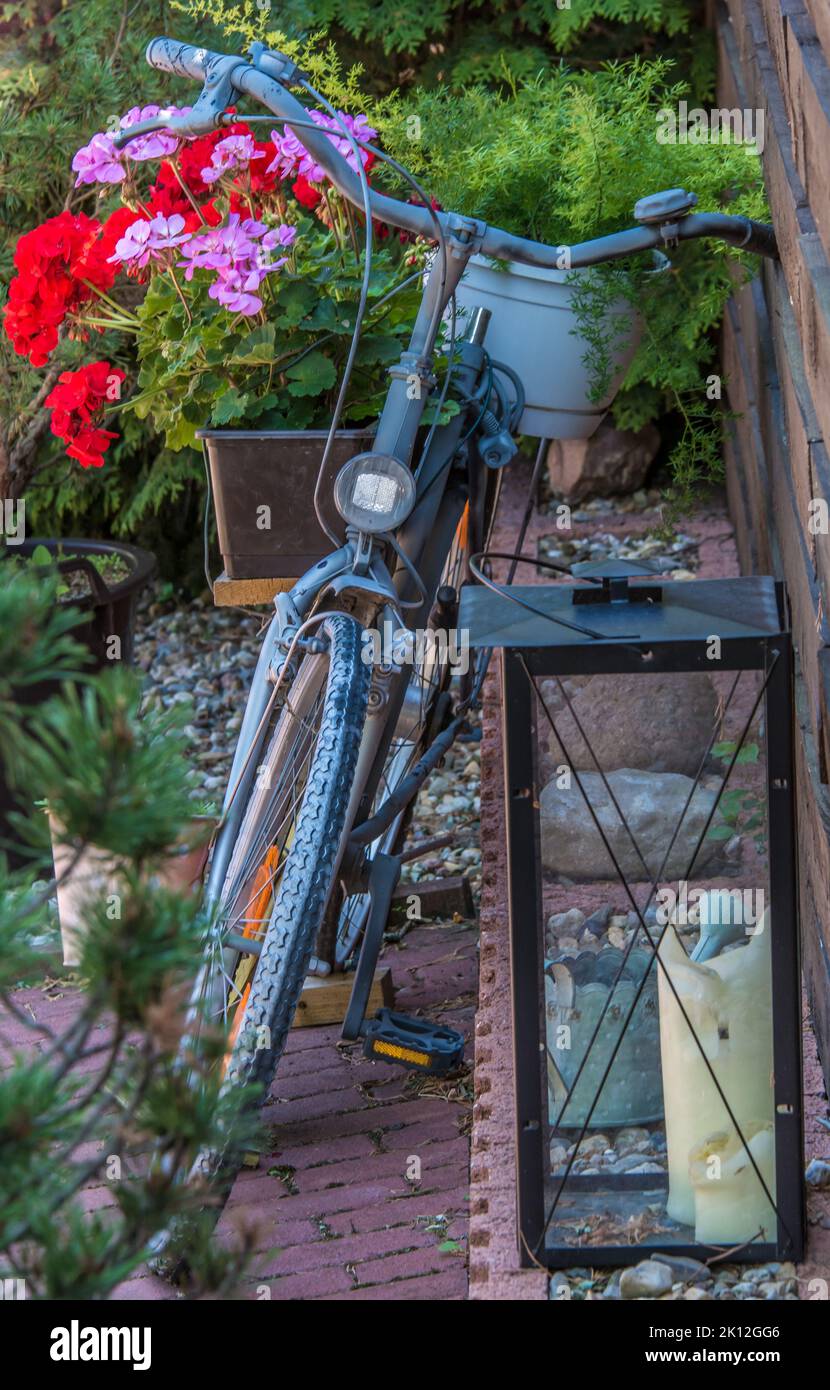 Old bicycle rebuilt as a flower stand for decorative purposes Stock Photo