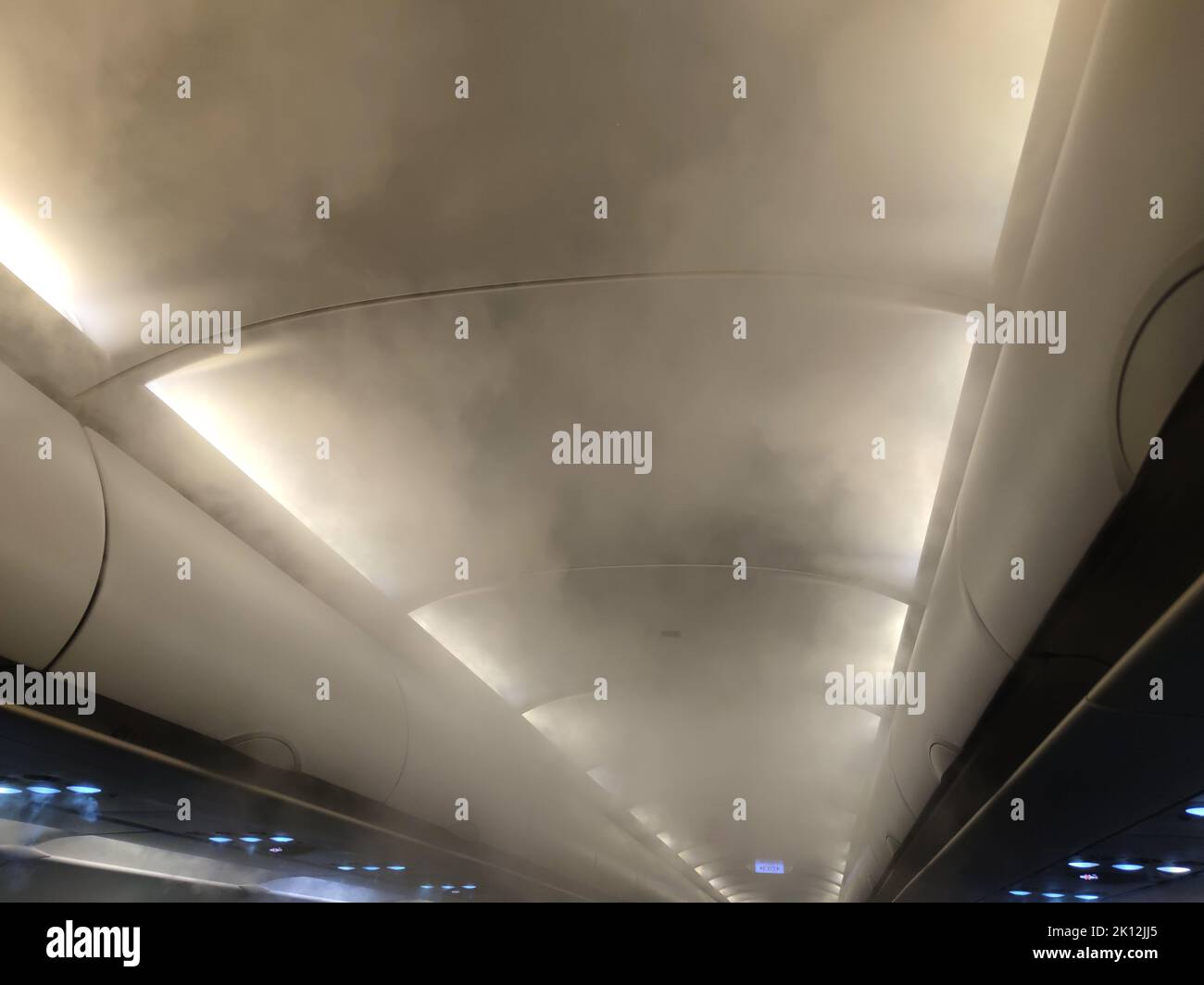 The ceiling of the aircraft cabin with exit sign. Spray for