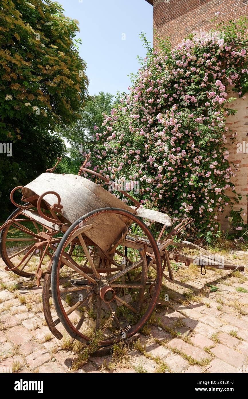 Polesine Parmense (Pr), Italy, an old gig Stock Photo