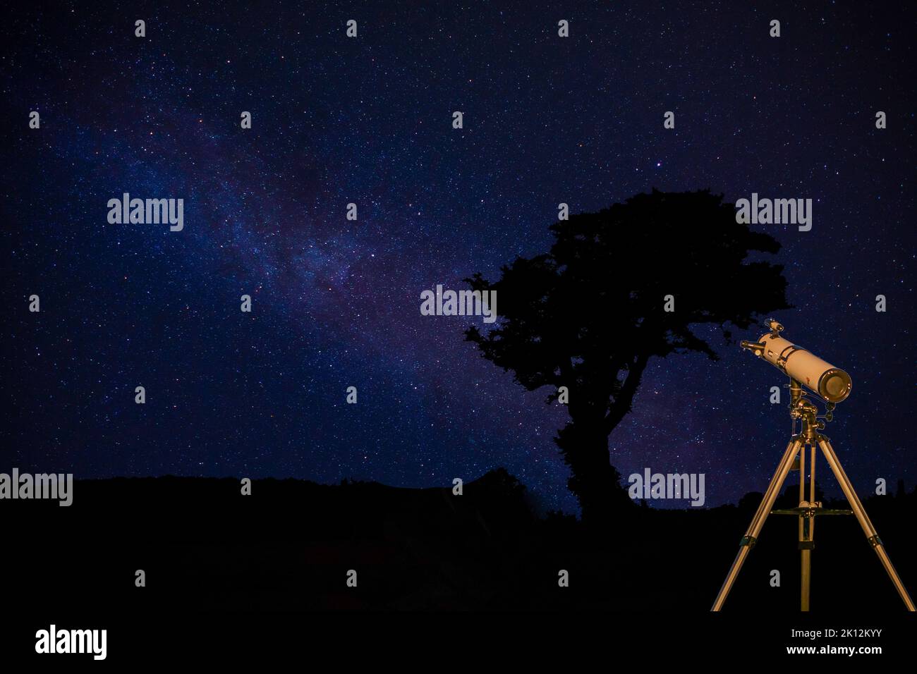 Tree silhouette with milky way and telescope Stock Photo