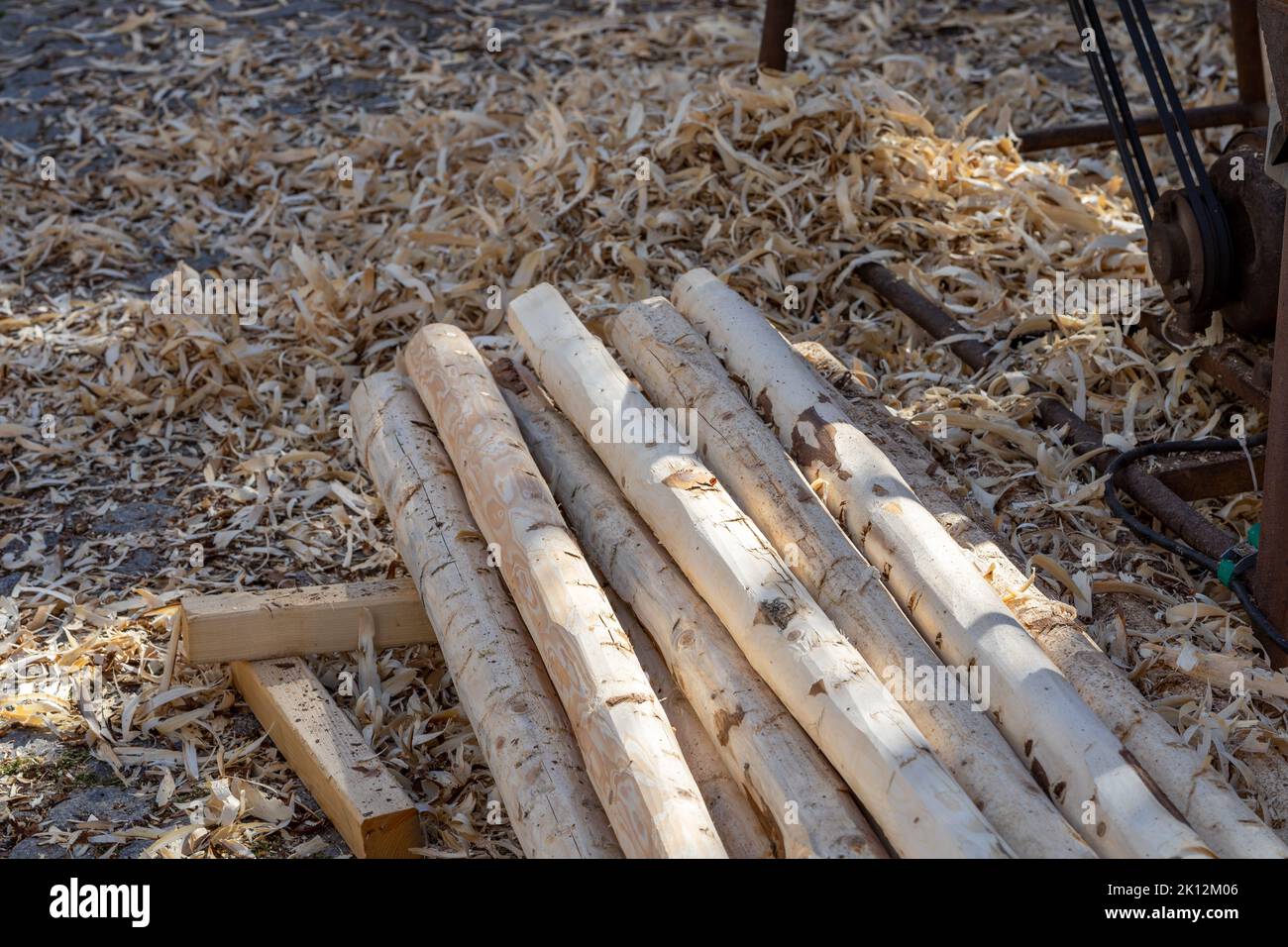 Tree trunks in a carpentry shop Stock Photo