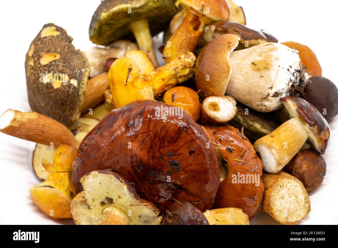 Mixture of fresh mushrooms from the forest Stock Photo