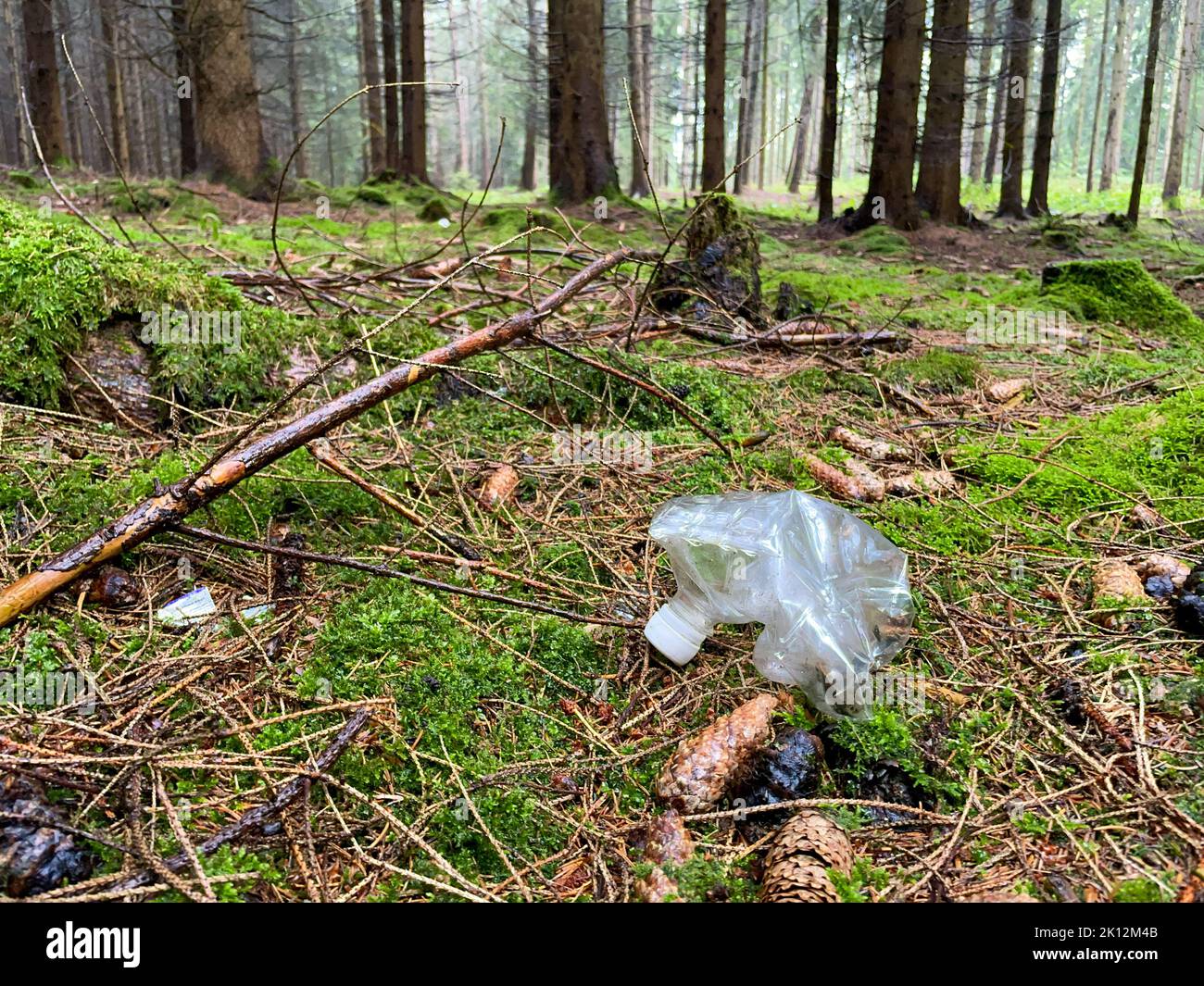 Plastic garbage in the forest on the ground Stock Photo