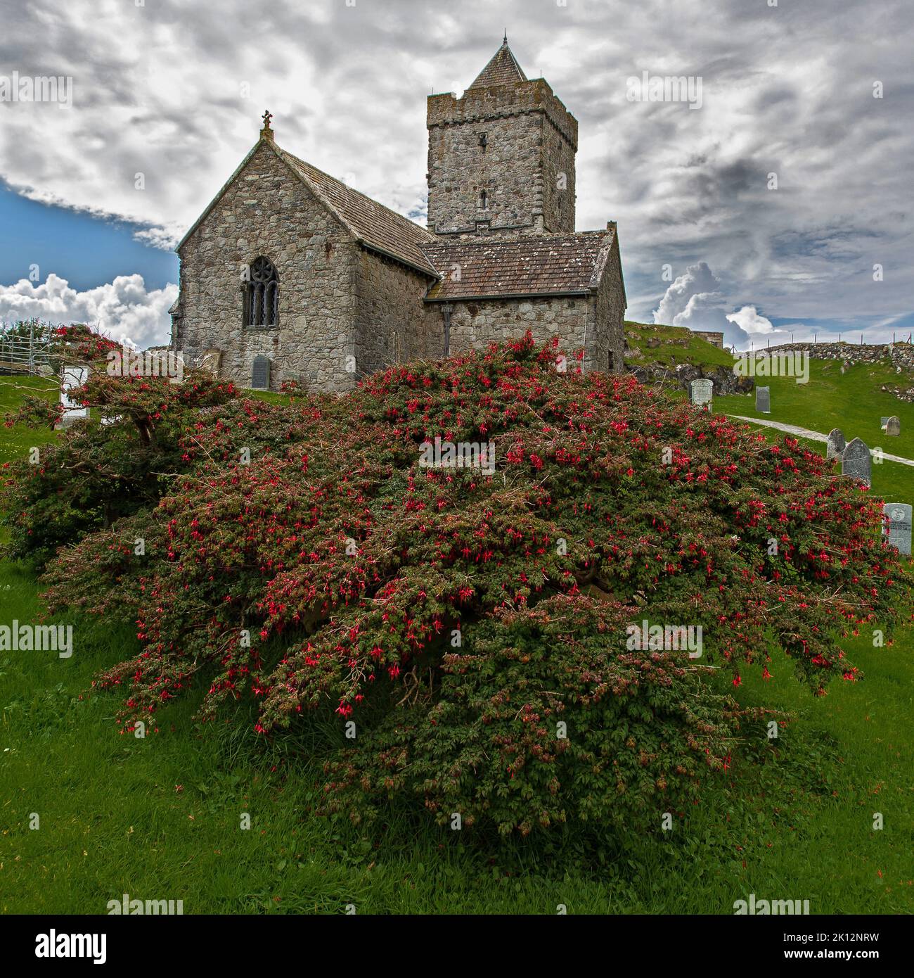 St Clement's Church with Fuchsia, Rodel, Harris, Isle of Harris, Hebrides, Outer Hebrides, Western Isles, Scotland, United Kingdom, Great Britain Stock Photo