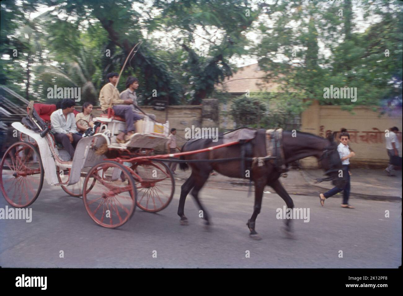 Horse Cart in Action, Mumbai Street Stock Photo Alamy