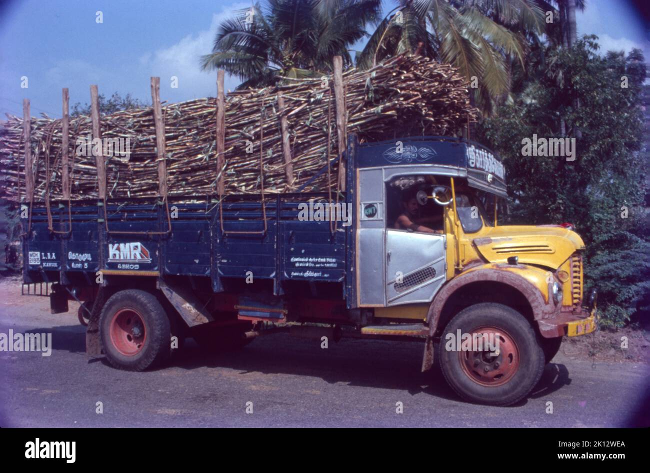 Truck Loaded with Sugarcane Crop Stock Photo