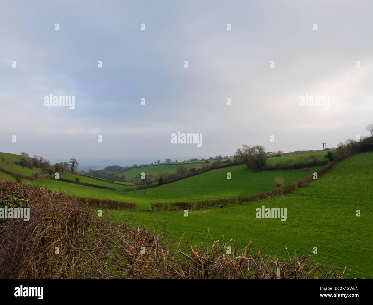 Country scenic view Stock Photo