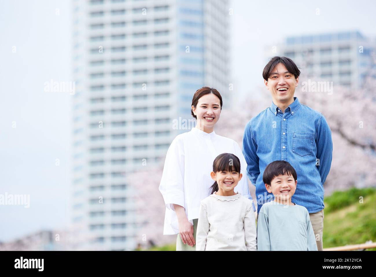 Japanese family with blooming cherry blossoms Stock Photo