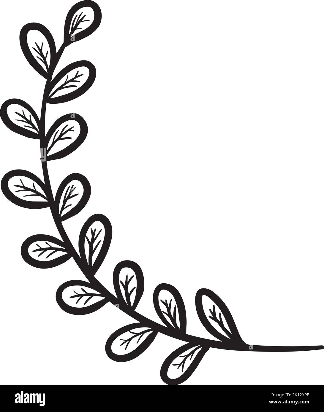 Hand drawn leaves border Black and White Stock Photos & Images - Alamy
