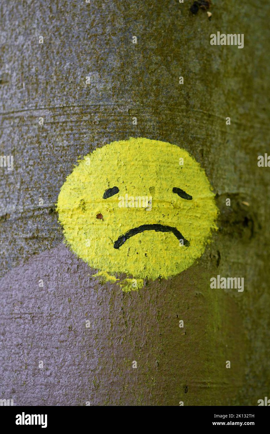 A sad yellow smiley face painted on a tree in nature Stock Photo