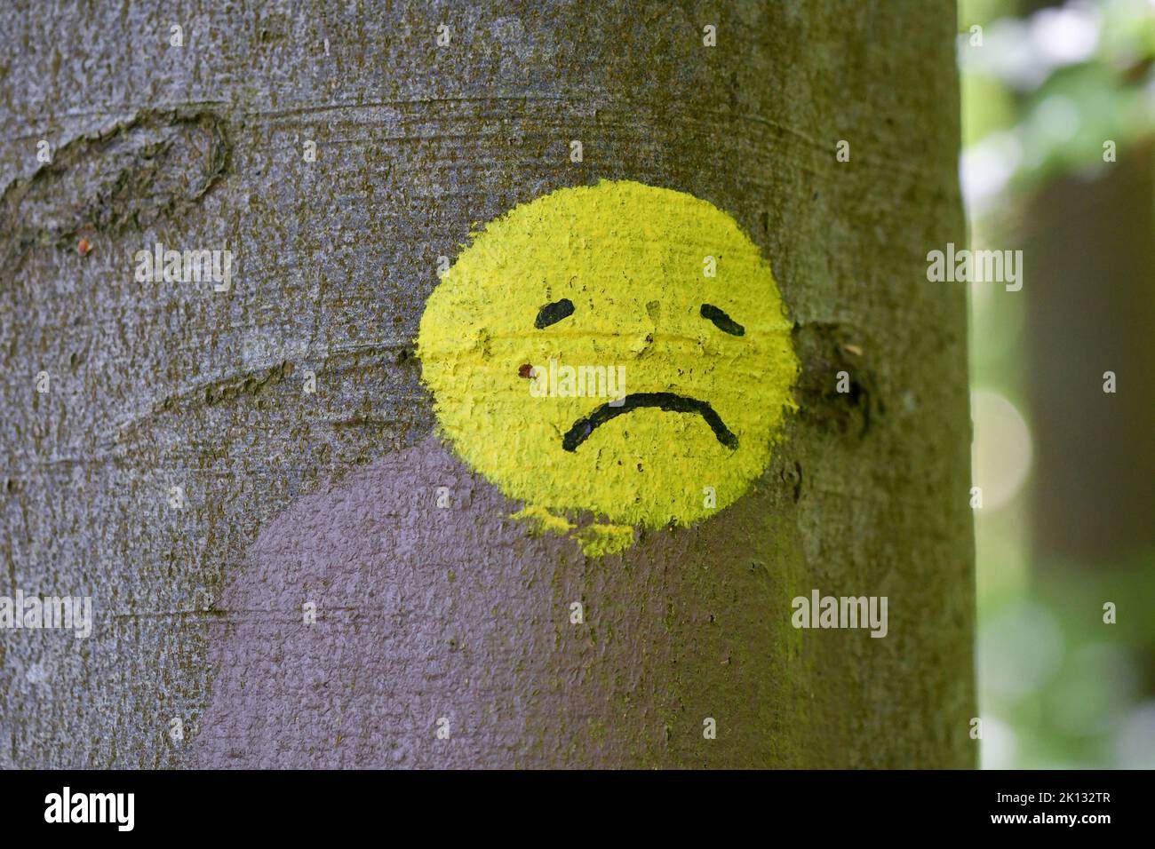 A sad yellow smiley face painted on a tree in nature Stock Photo