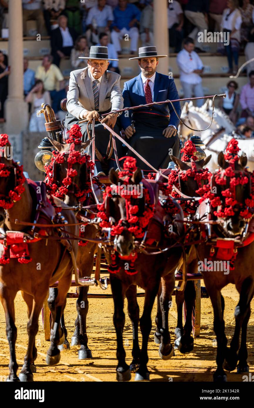 Traditional Victorian horse drawn carriages at Ronda Goya festival Stock Photo