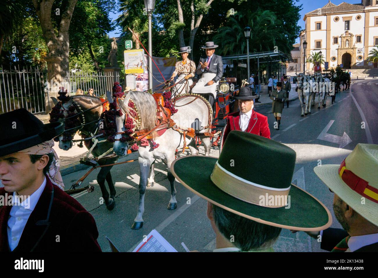 Traditional Victorian horse drawn carriages at Ronda Goya festival Stock Photo