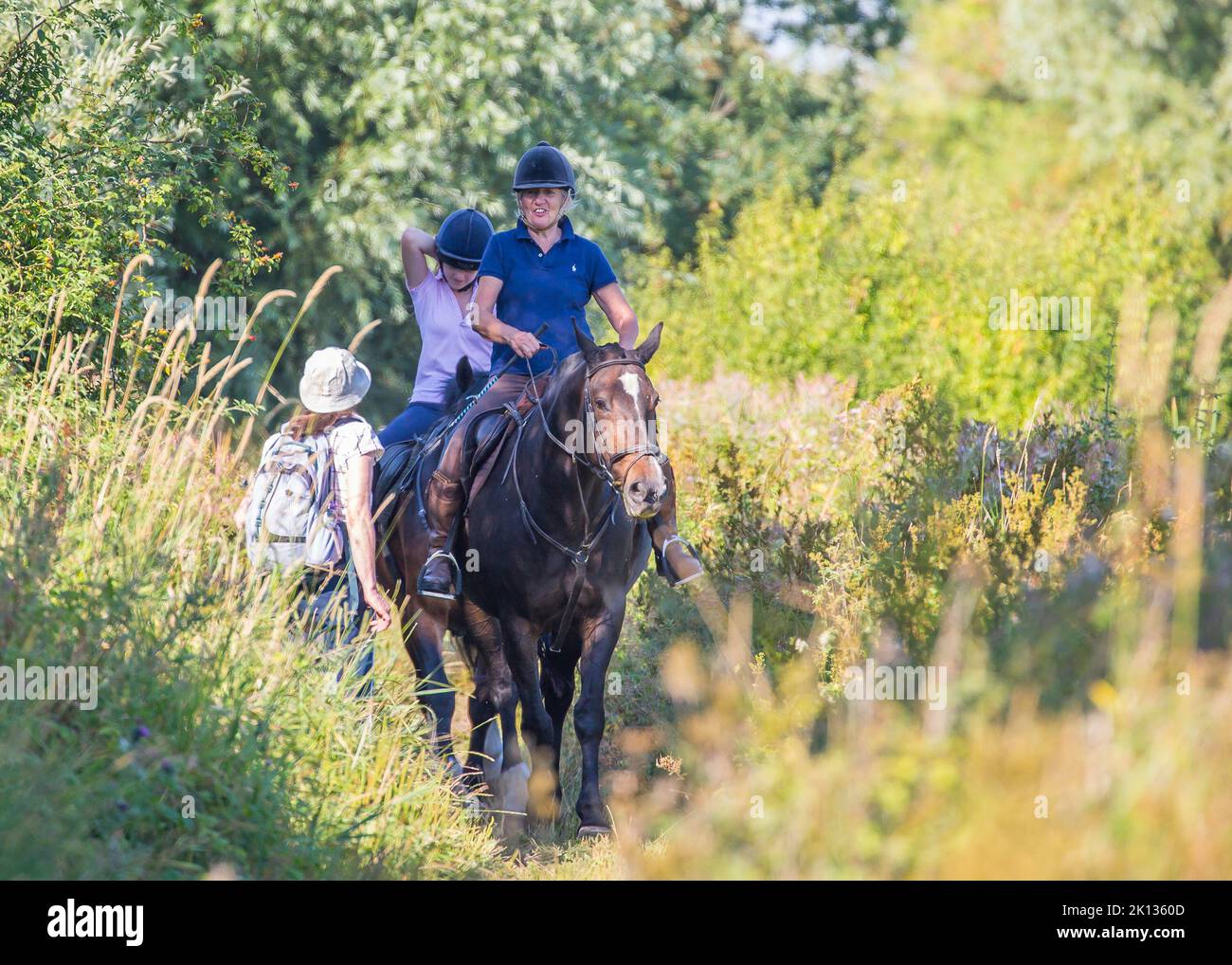 Front view of a smiling lady rider on a horse on a country path, bridleway chatting to a rambler outdoors on a hot summer day in rural England, UK. Stock Photo