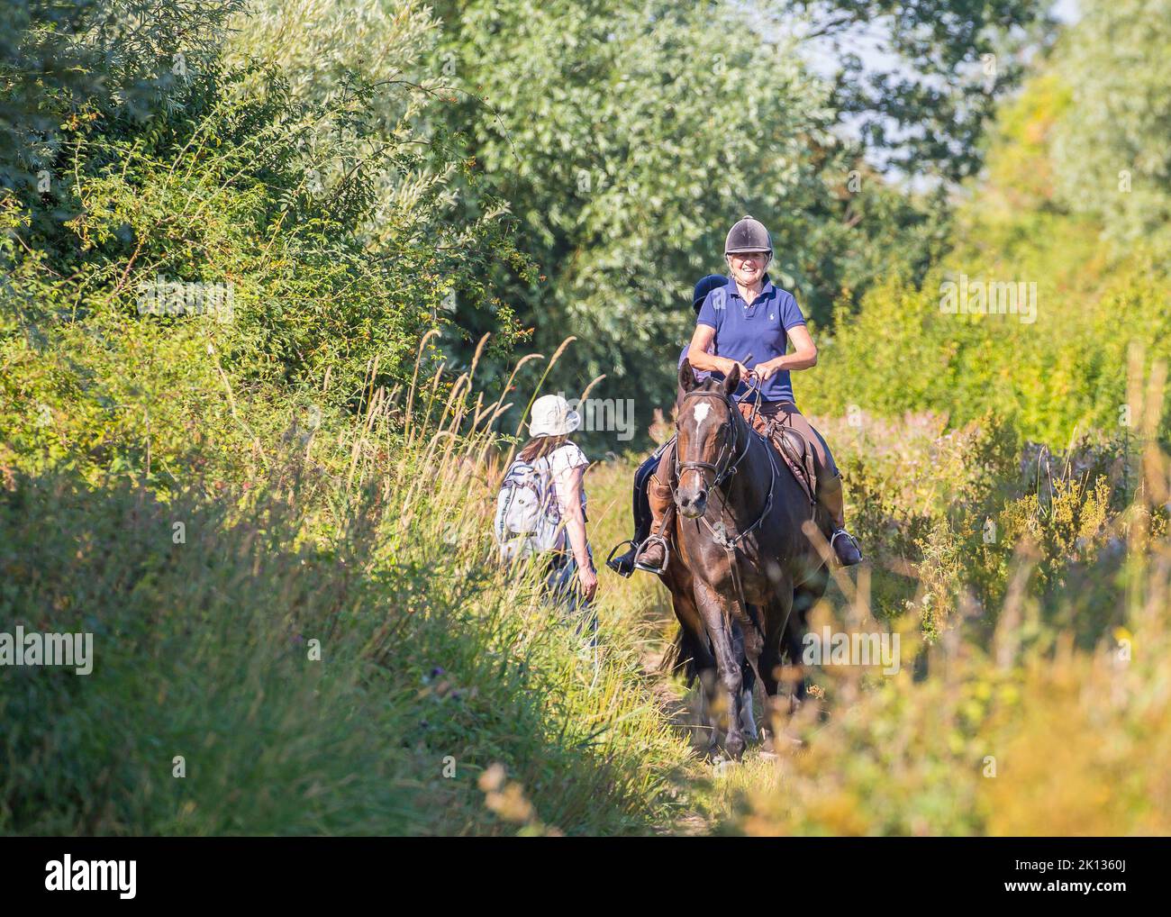 Front view of a smiling lady rider on a horse on a country path, bridleway passing a lady walker on a hot summer day in rural England, UK. Stock Photo