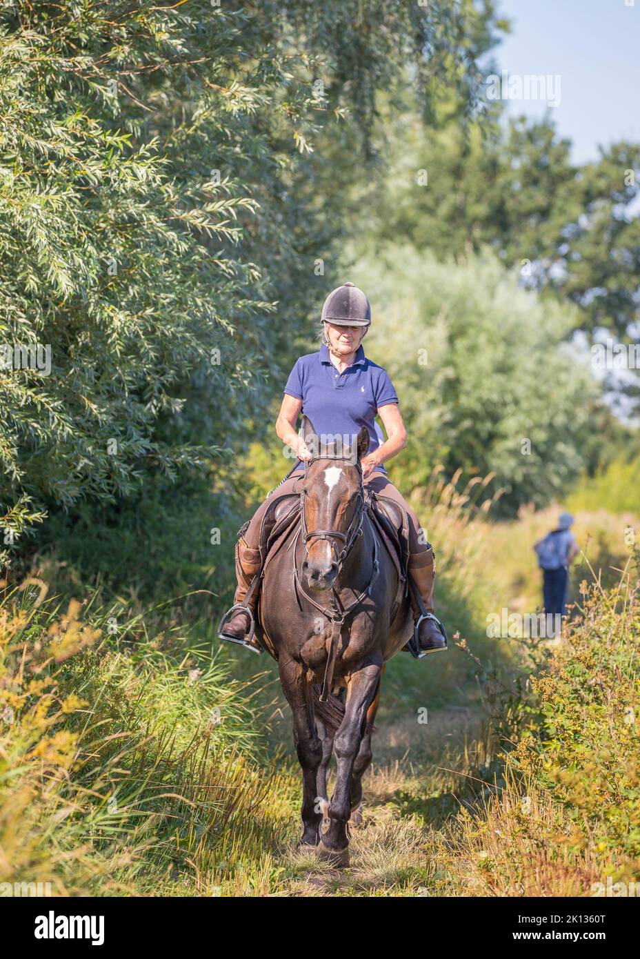 Front view of a lady riding a horse along a country path, bridleway on a hot summer day. Stock Photo