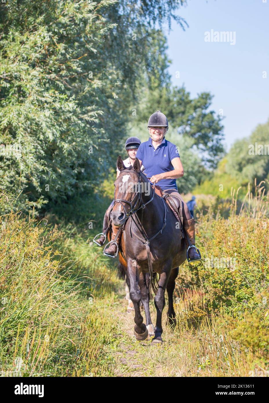 Front view of a smiling lady rider on a horse on a UK country path, bridleway on a hot summer day. Stock Photo