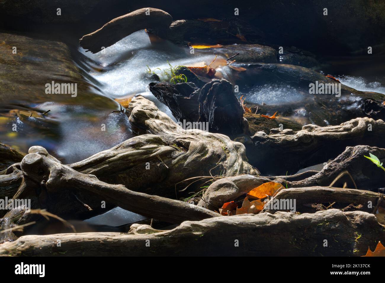 Stream water feature hi-res stock photography and images - Alamy
