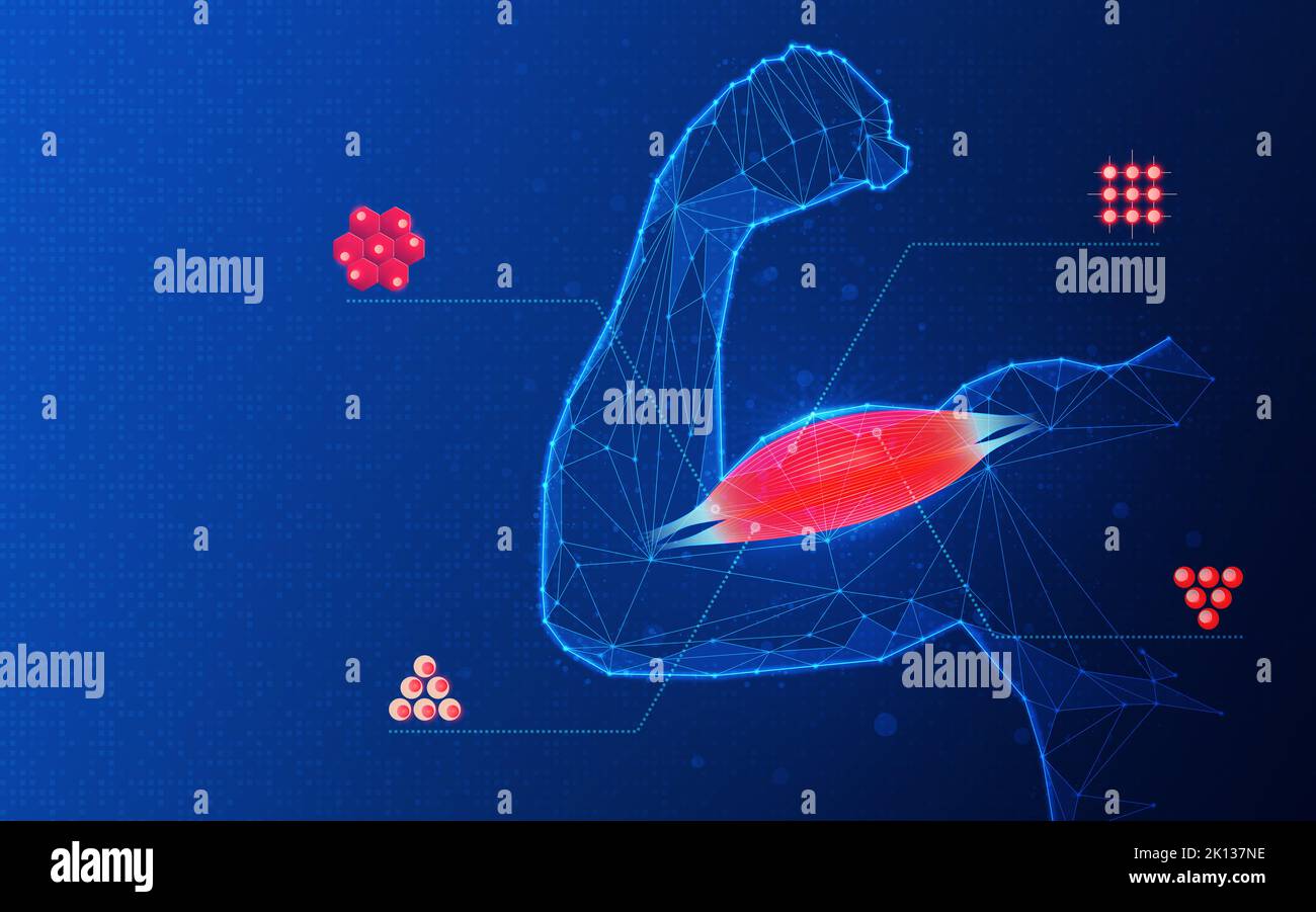 Muscle Tissue Engineering Concept Combined Use of Cells and Scaffolds