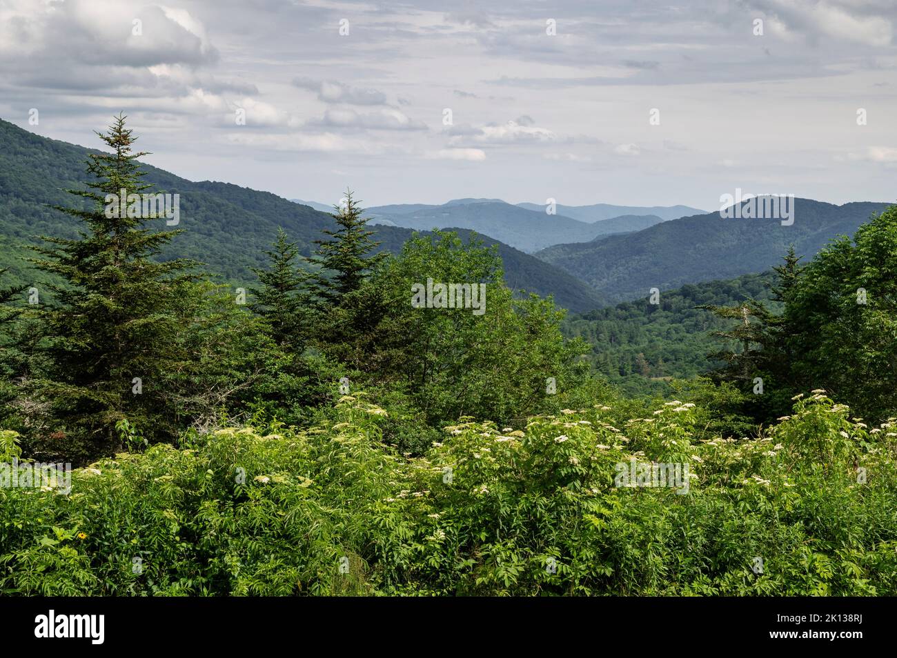 View of the Blue Ridge Mountains from the Appalachian Trail in summer, Avery County, North Carolina, United States of America, North America Stock Photo