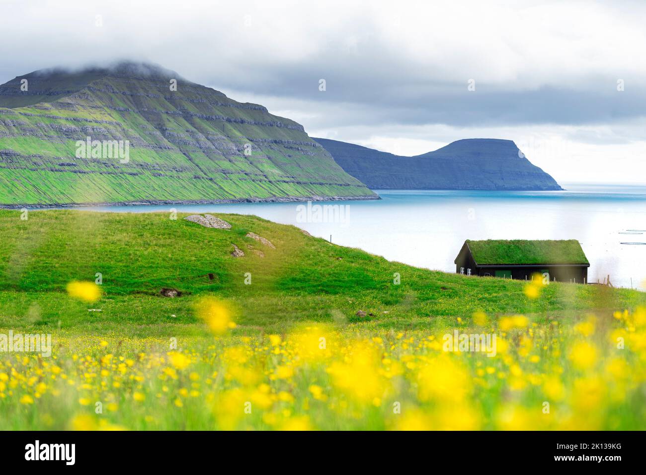 Grass roof house overlooks the fjord and the ocean with yellow flowers, Sydrugota, Eysturoy island, Faroe Islands, Denmark, Europe Stock Photo