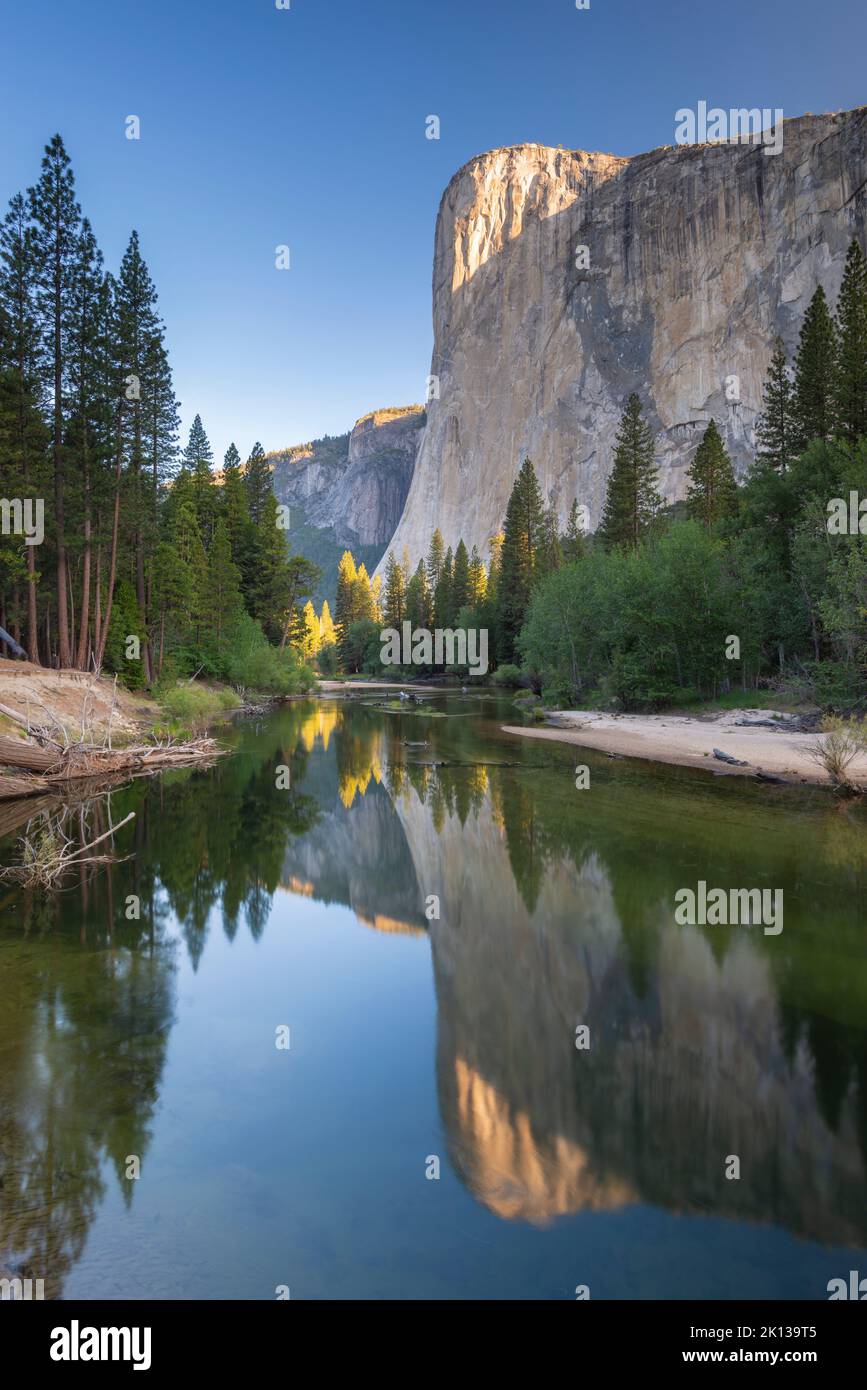 El Capitan reflected in the River Merced at dawn, Yosemite Natiional Park, UNESCO World Heritage Site, California, United States of America Stock Photo