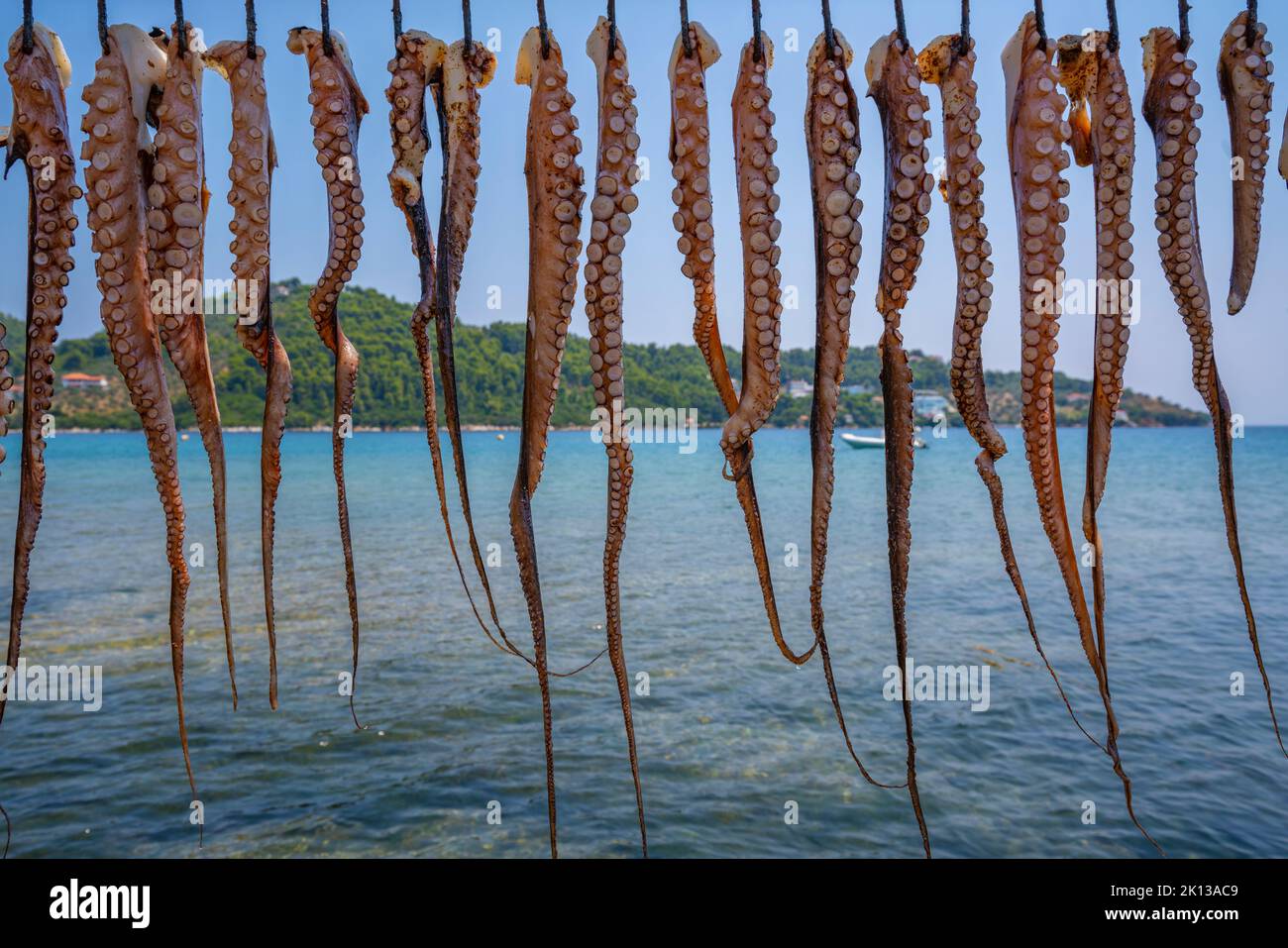 View of squid hanging on a line at restaurant in Skiathos Town, Skiathos Island, Sporades Islands, Greek Islands, Greece, Europe Stock Photo