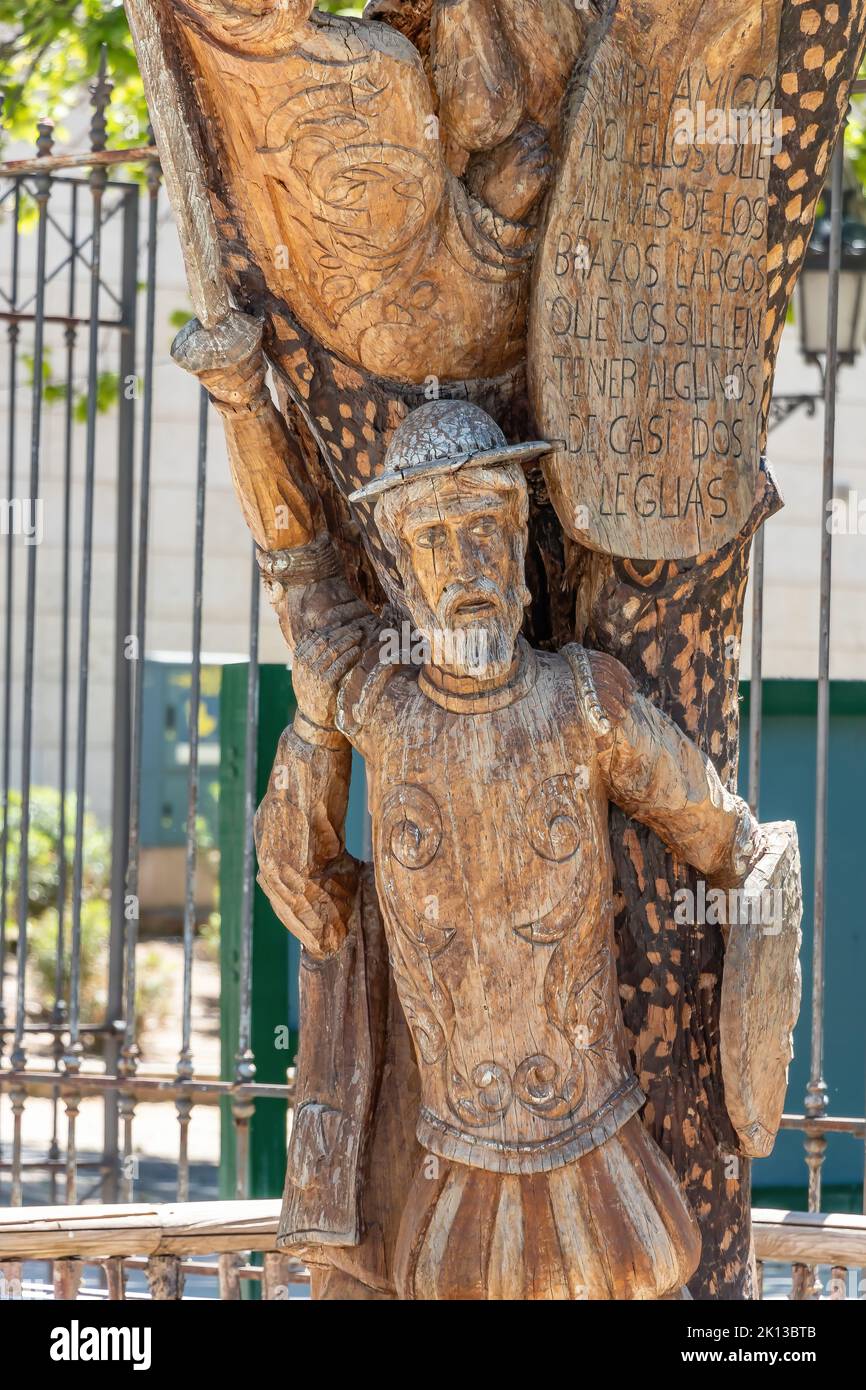Detail of the statue of Don Quixote carved in the trunk of a tree. The text is a part of the book by Don Miguel de Cervantes, Don Quixote de la Mancha Stock Photo