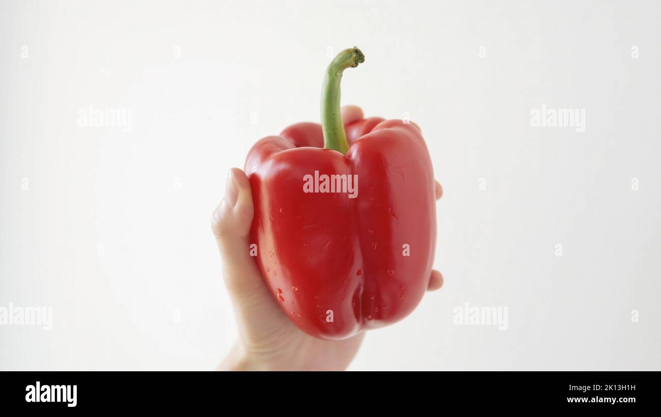 Close-up of a a ripe red pepper on a white background in female hand. Stock Photo