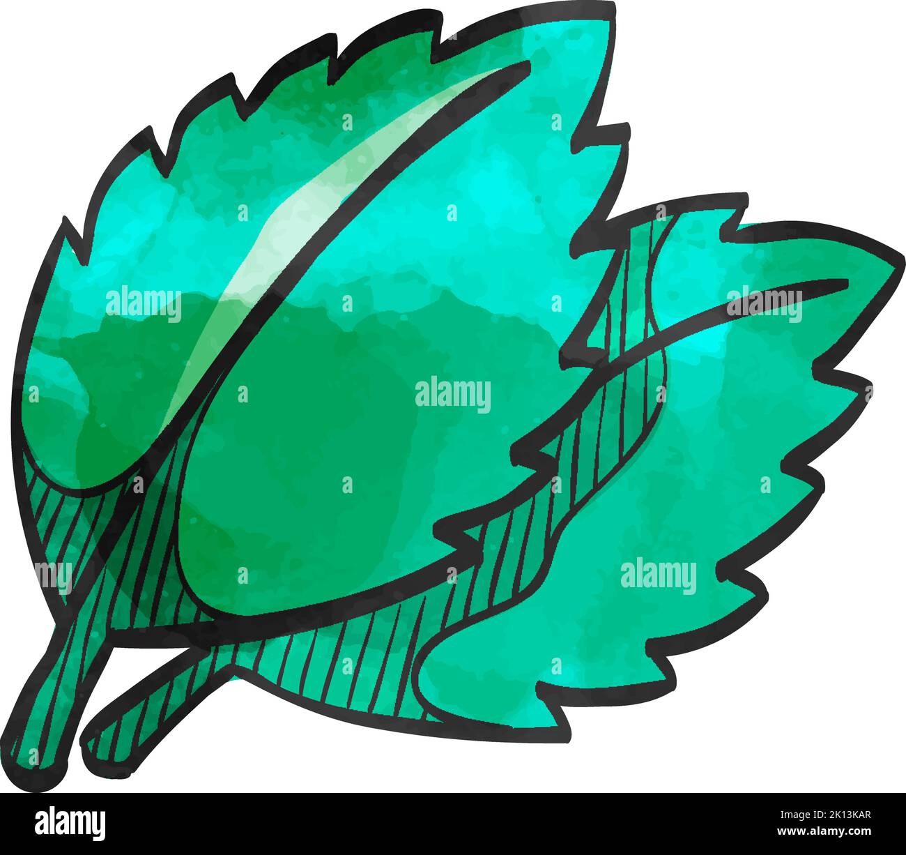 Basil leaves icon in watercolor style Stock Vector Image & Art - Alamy