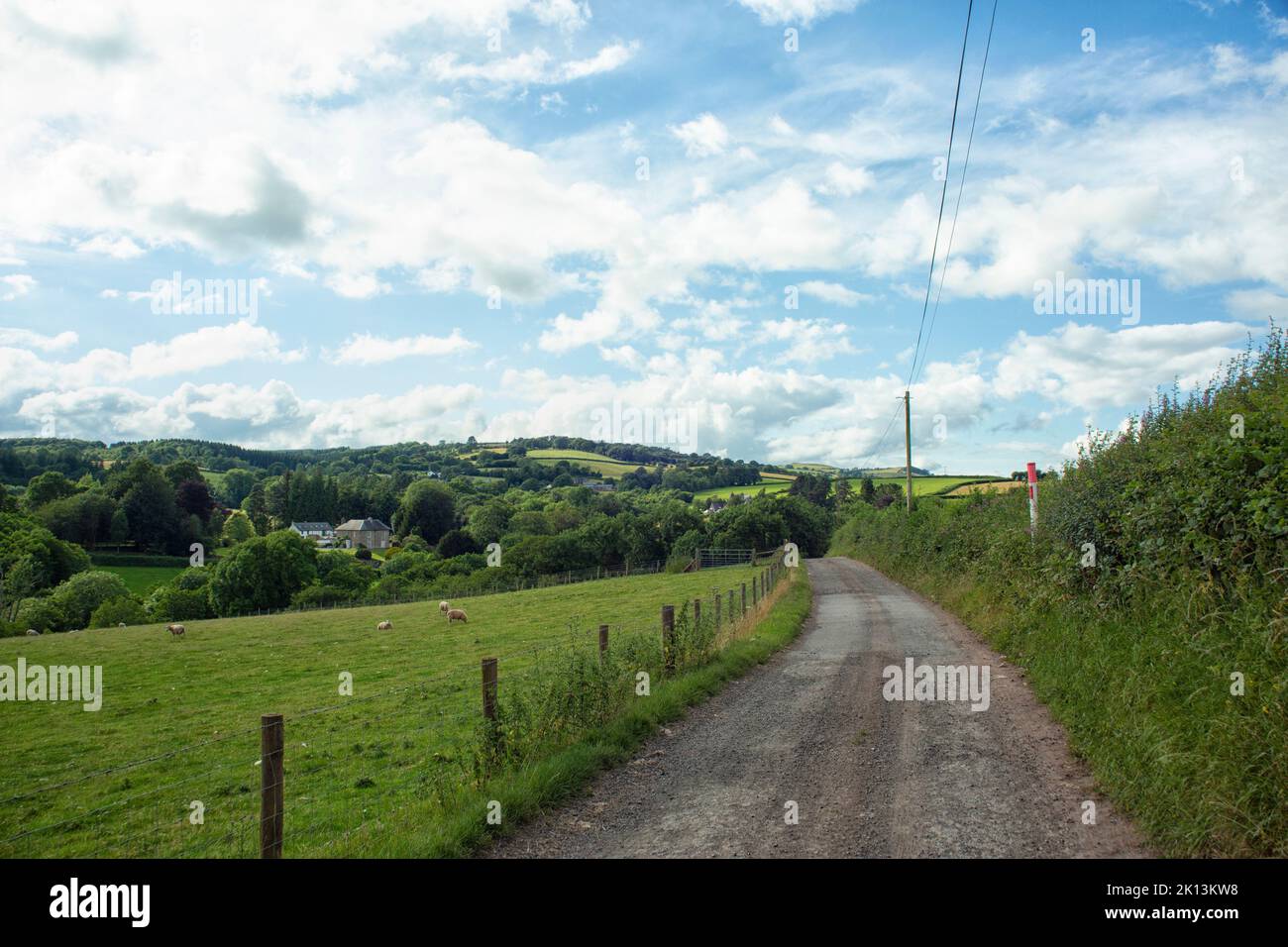 The Welsh Brecon Beacons landscape with sheep Stock Photo
