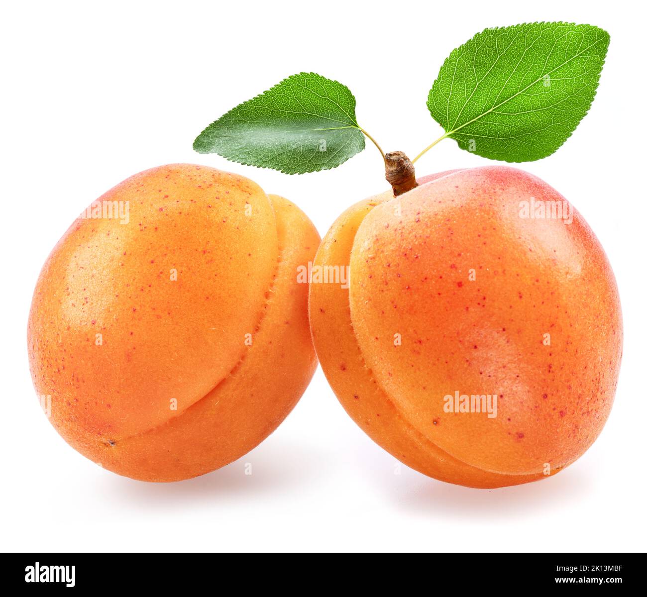 Ripe apricots with green leaves  isolated on white background. Stock Photo