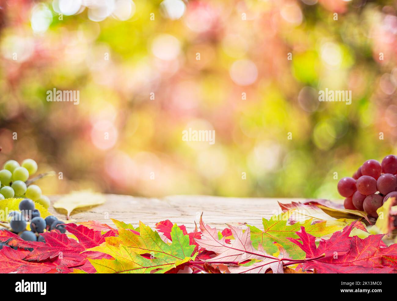 Autumn background with a whis autumn colorful leaves and beautiful sunny bokeh. Stock Photo