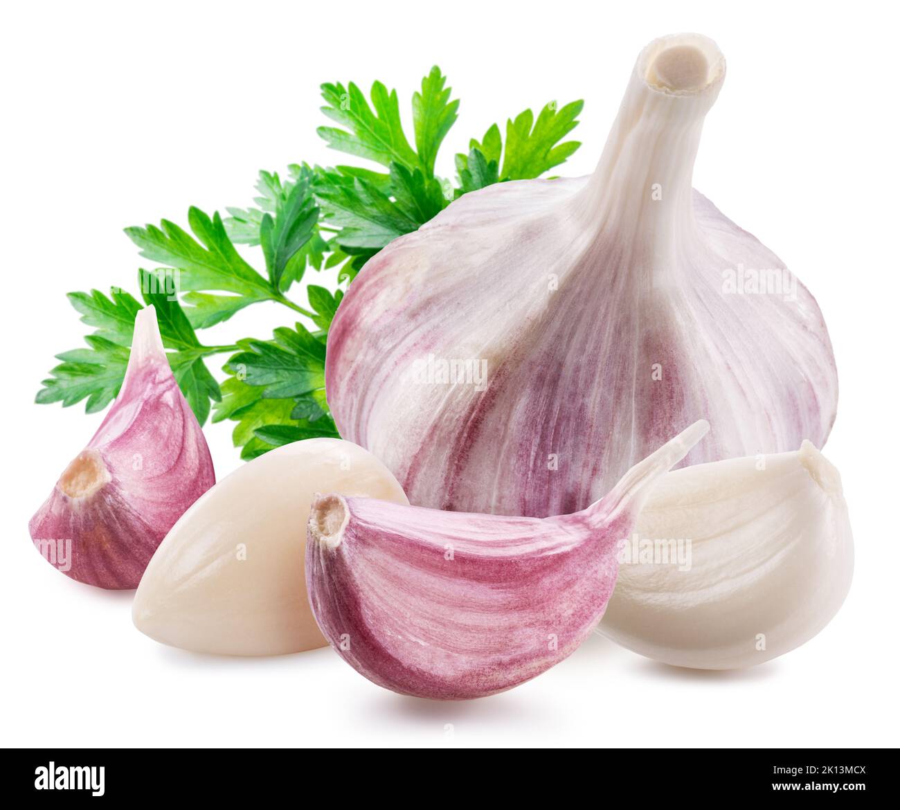 Head of young garlic with garlic cloves and parsley leaf isolated on white background. Stock Photo