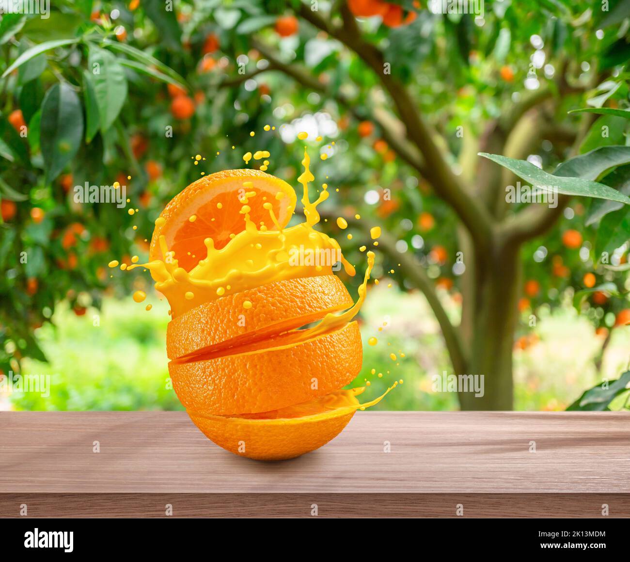 Sliced orange fruit splashing about orange juice on wooden table. Orange garden in the background. Stock Photo