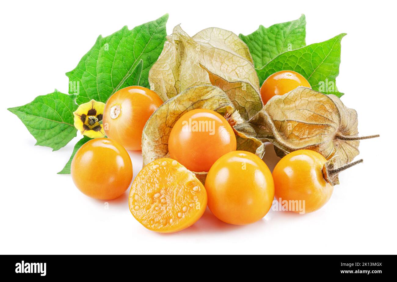 Ripe physalis or golden berry fruits with leaves and flower isolated on white background. Stock Photo
