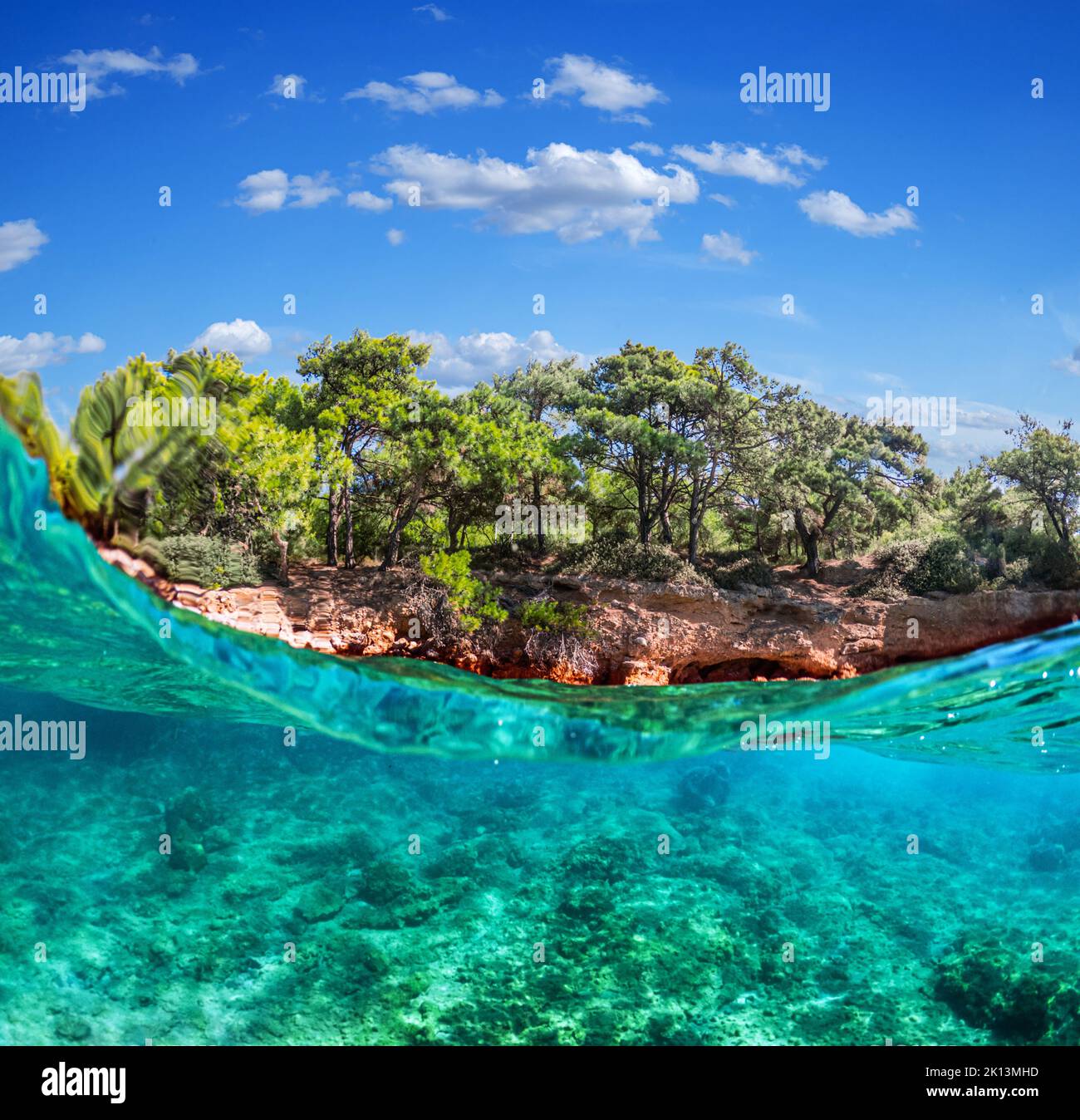 Split view - half underwater view of beautiful seabed and rocky coastline with pine trees, Turkey, Bodrum. Stock Photo