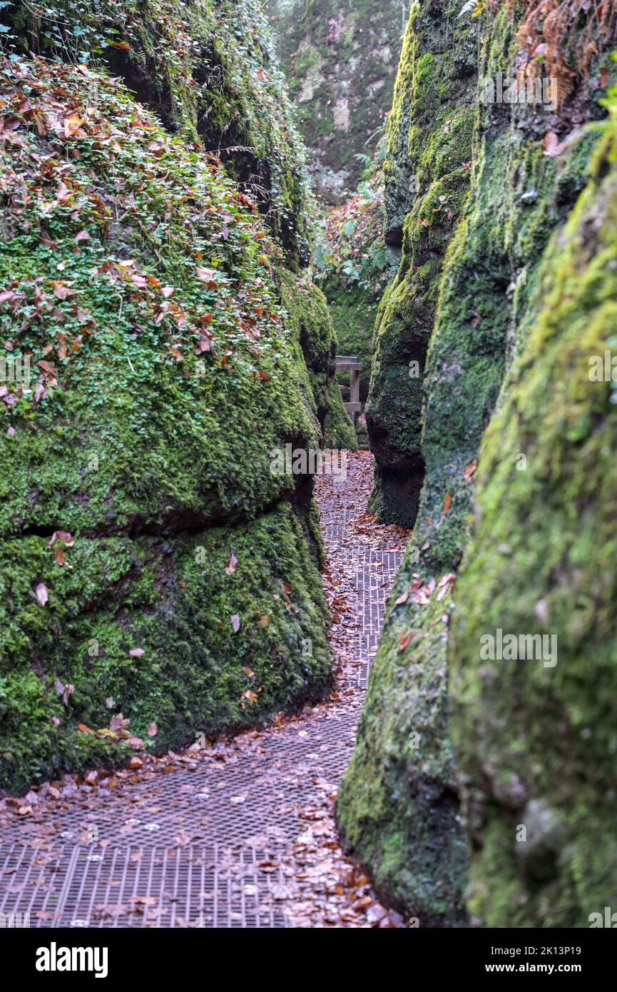 drachenschlucht-in-eisenach-th-ringen-stock-photo-alamy