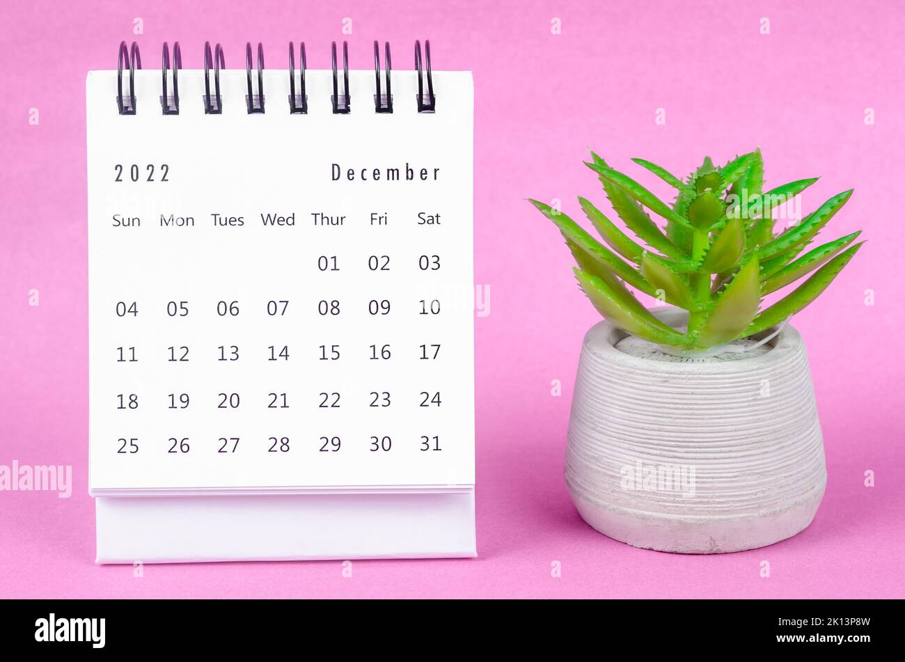 December 2022 Monthly desk calendar for 2022 year with plant pot on pink background. Stock Photo