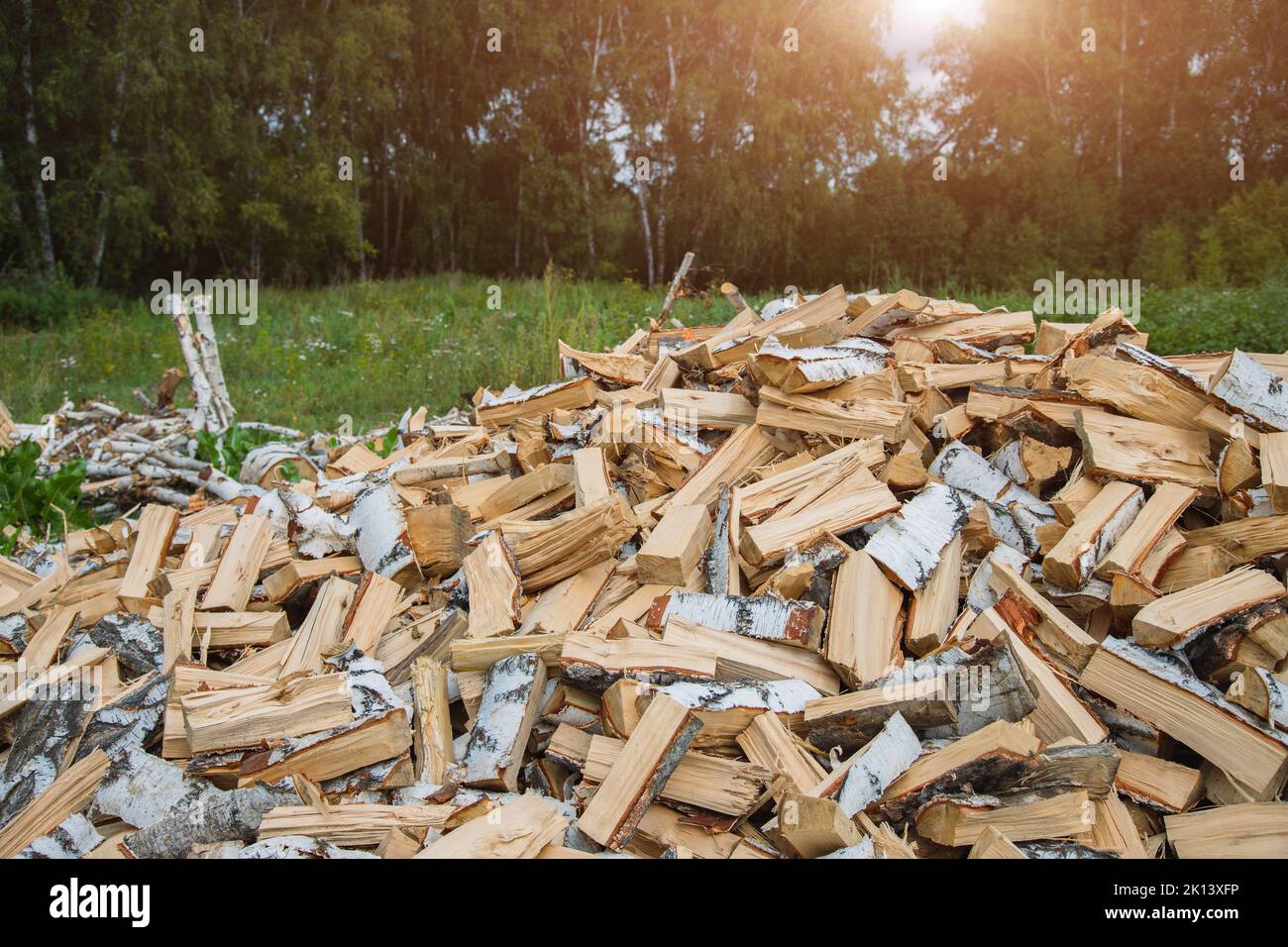 The pile of firewood against the background of a green forest in summer