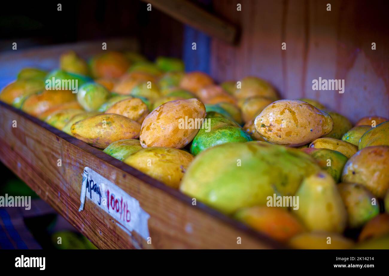 Papaya in roadside market stall Stock Photo Alamy