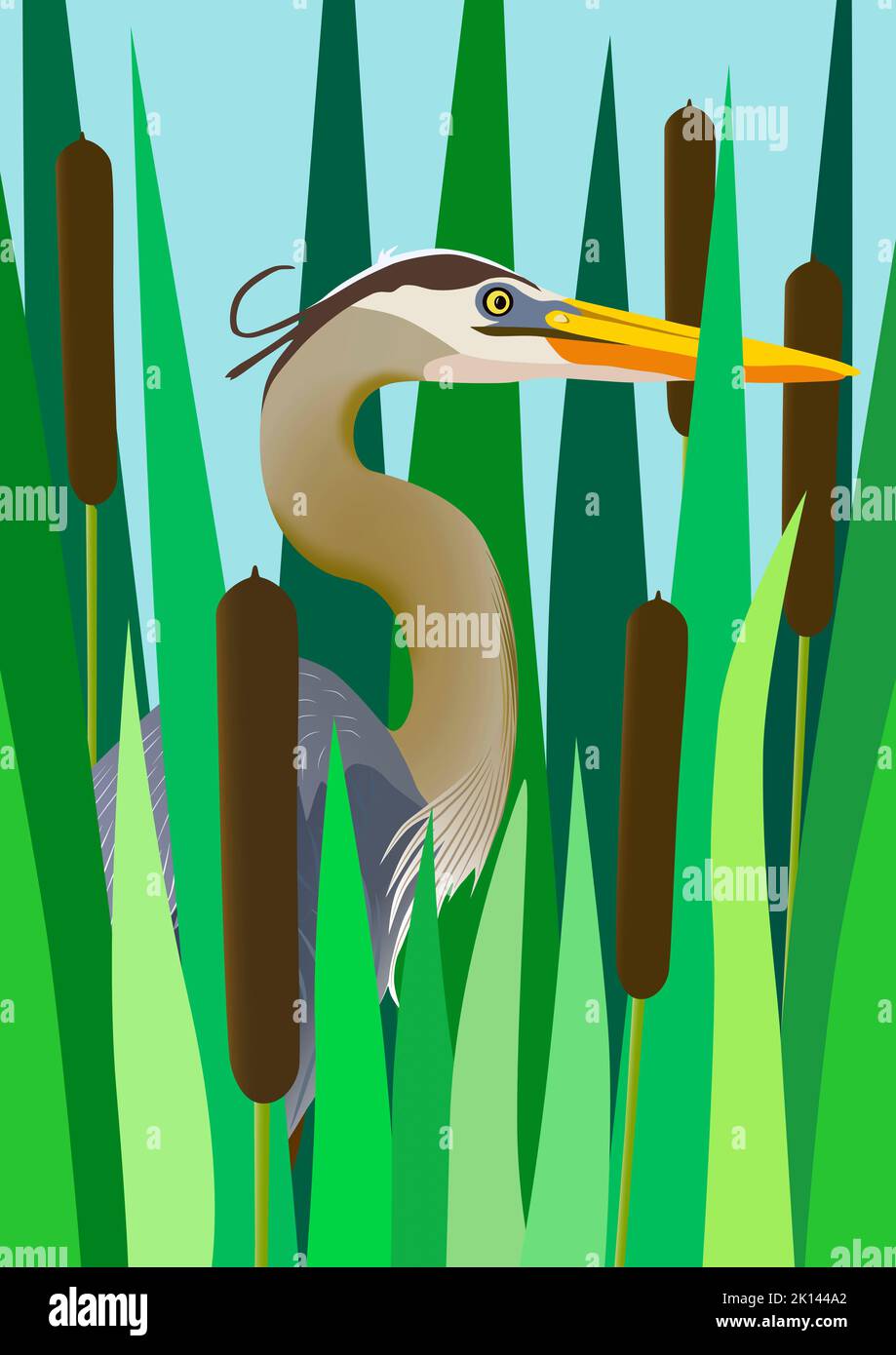 Bull Rushes Cartoon Illustration of a heron fishing in among bulrushes Stock Photo - Alamy