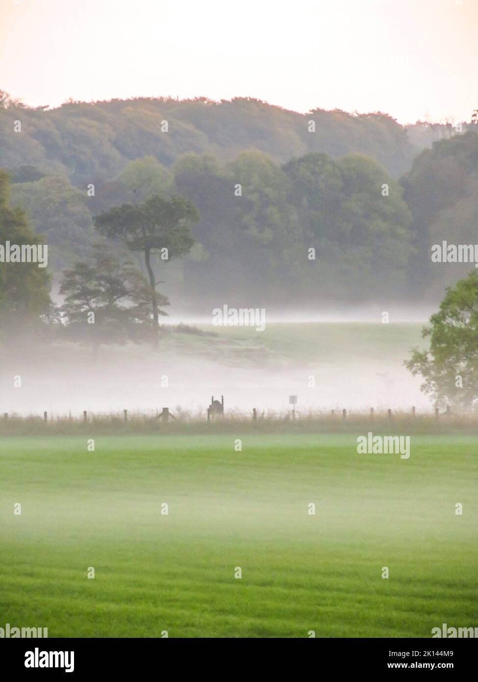 Early morning mist over a field in the Countryside just outside Dyce, Aberdeen, in Scotland. Stock Photo