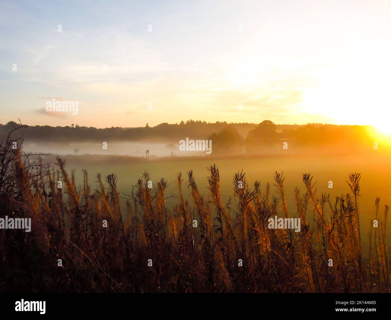 Magical golden sunrise on a misty morning in Scotland. Photographed in Dyce Stock Photo