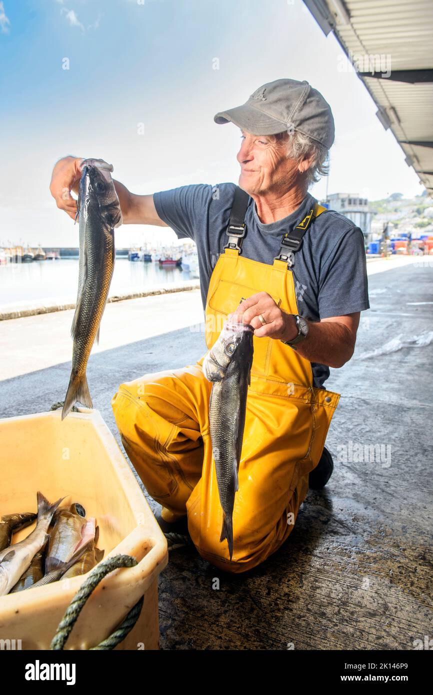 A fisherman with line caught Sea Bass and Pollock in Newlyn harbour in Cornwall, UK Stock Photo