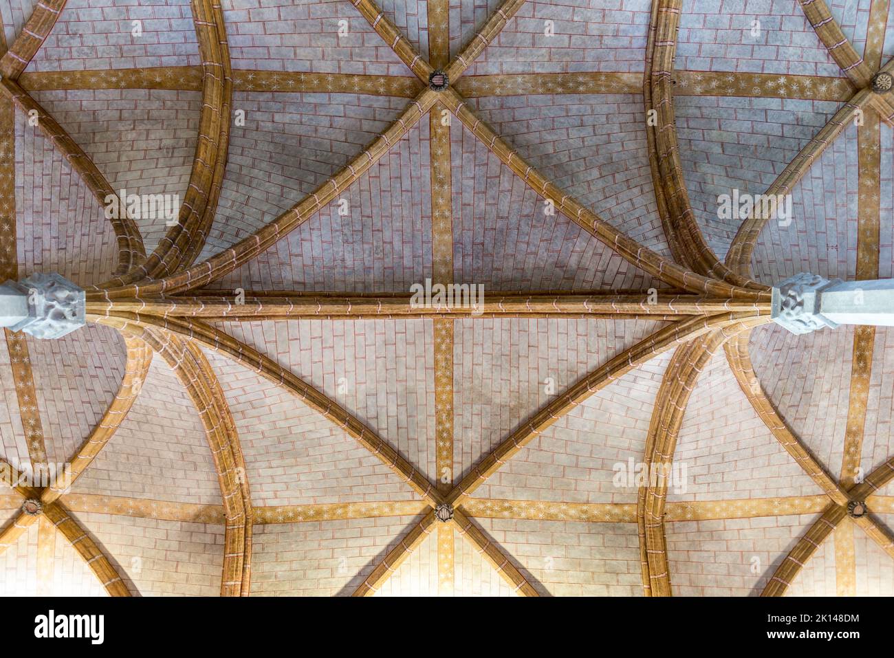 Interior and ceiling of the Jacobins Convent in Toulouse, Occitanie, France Stock Photo