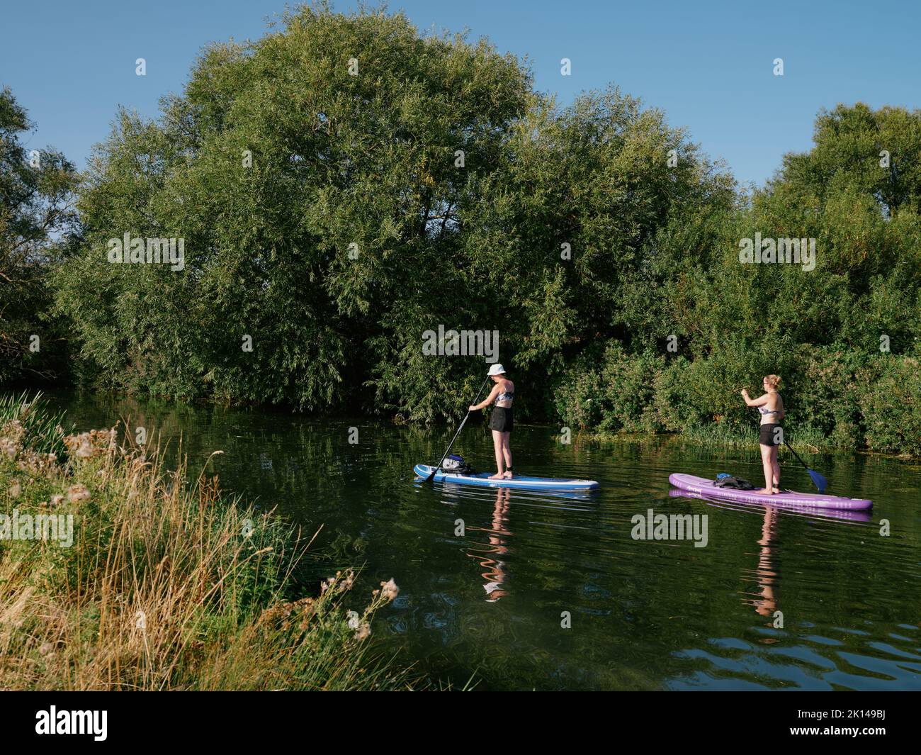 Summer paddleboarding Grantchester Meadows on the River Cam in Cambridge Cambridgeshire England UK - summertime countryside  people paddleboarder sup Stock Photo
