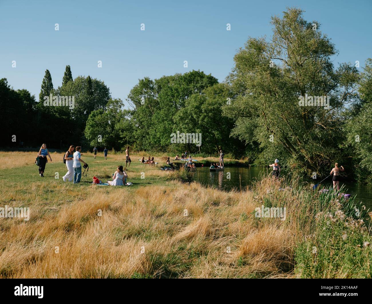 Summer life on Grantchester Meadows on the River Cam in Cambridge Cambridgeshire England UK - summertime countryside people picnic Stock Photo
